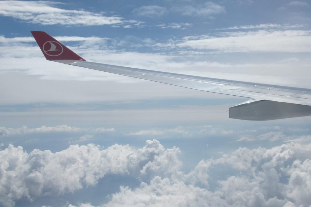 Turkish Airlines Manage Booking: 2025 Full Great Guide