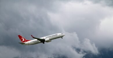 Turkish Airlines Flight Status: Real-Time Updates & Alerts